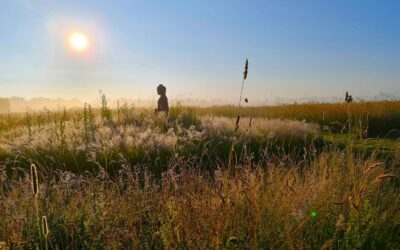 Hoe je slimmer omgaat met negatieve energie