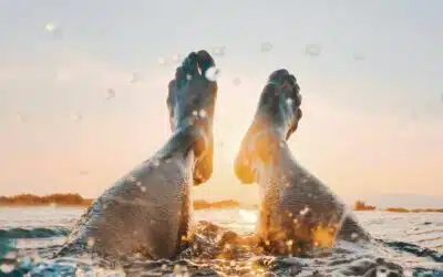 Is NLP een handleiding voor een gelukkig leven?